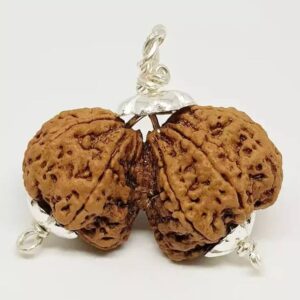 Gauri shankar rudraksha