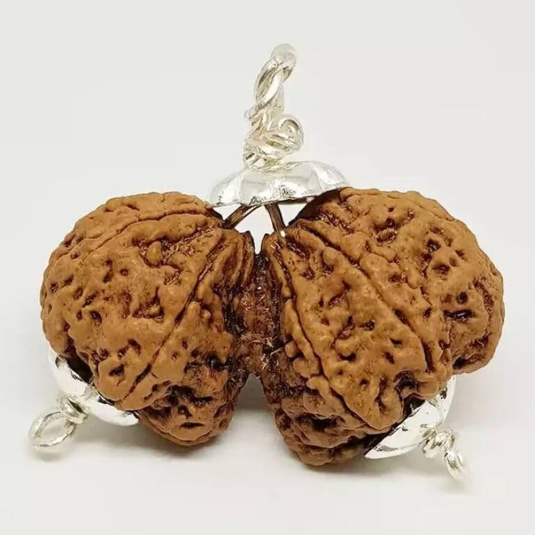Gauri shankar rudraksha